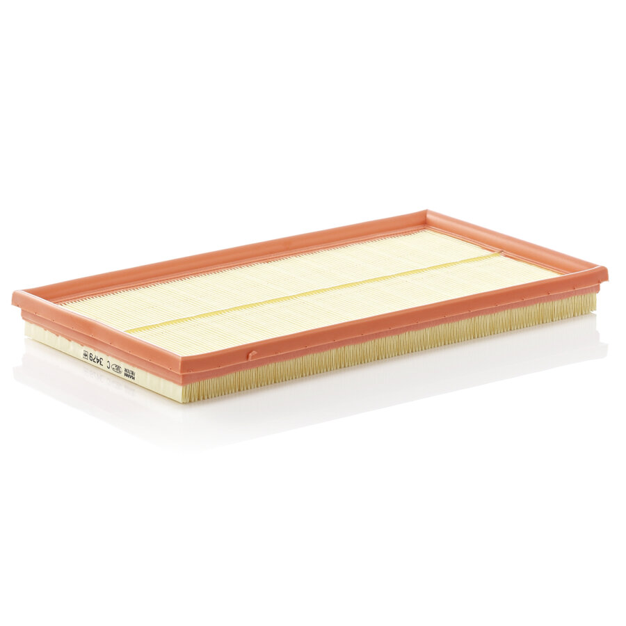 Filtro aria MANN C3479