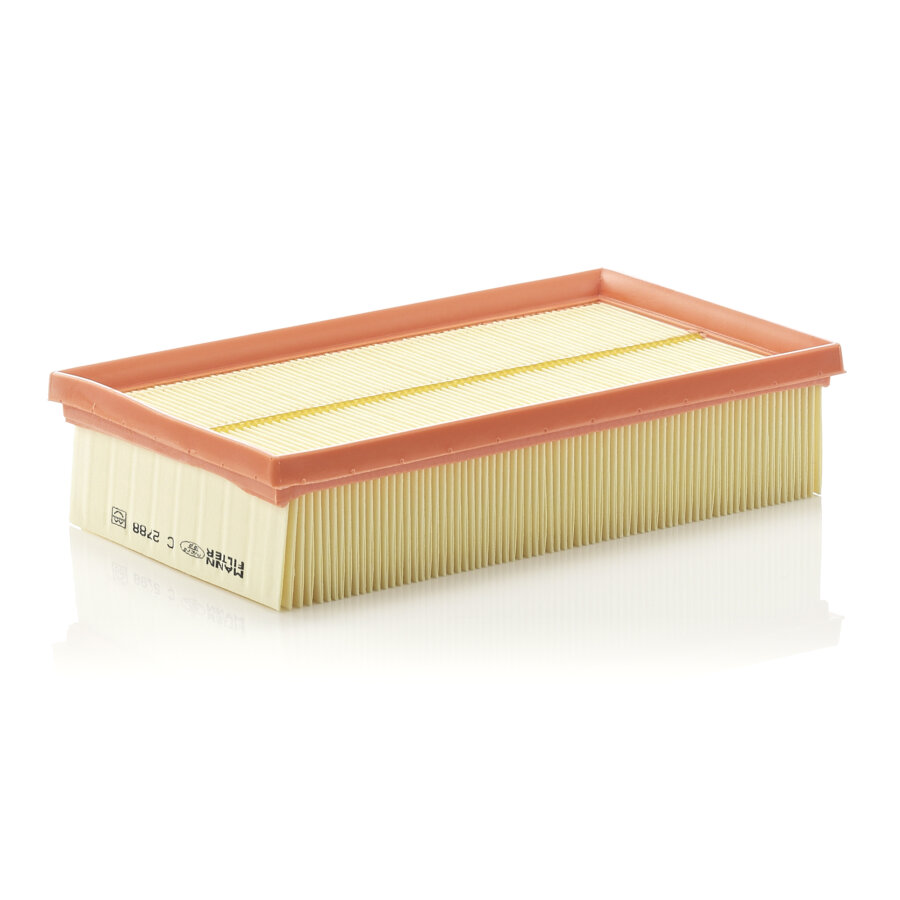 Filtro aria MANN C2788