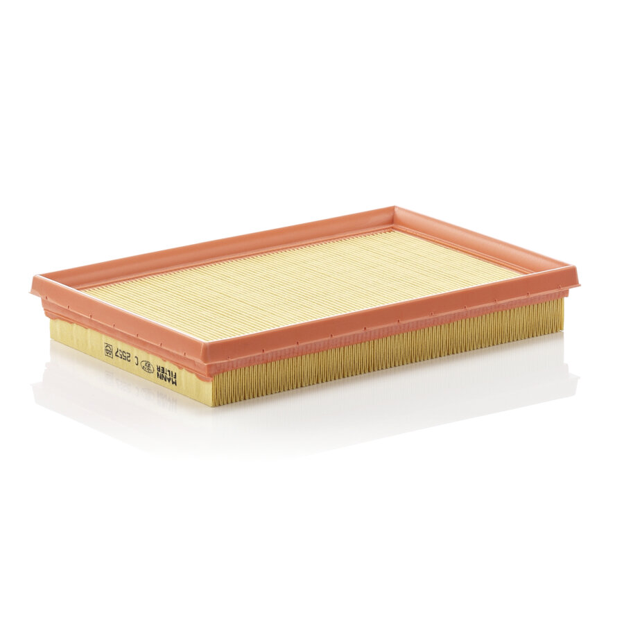 Filtro aria MANN C2557