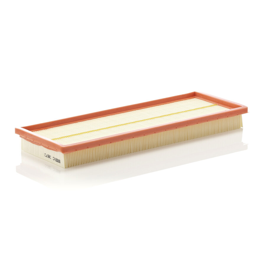Filtro aria MANN C3873