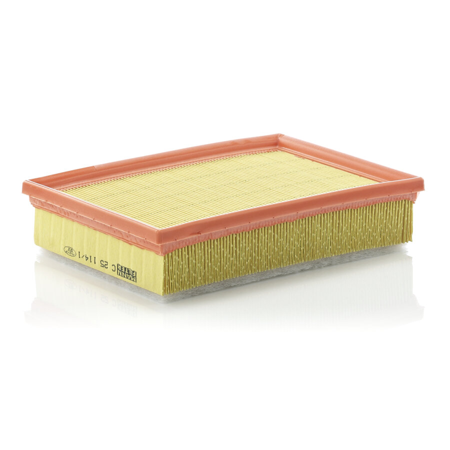 Filtro aria MANN C2775