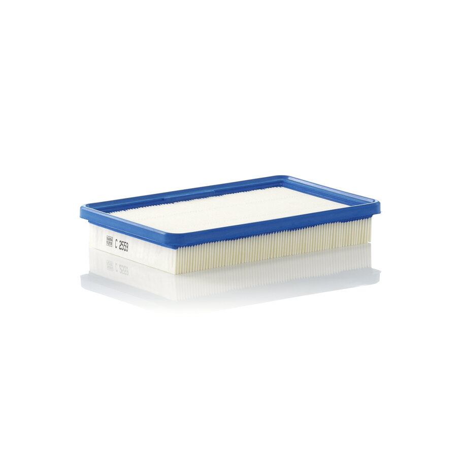 Filtro aria MANN C2559