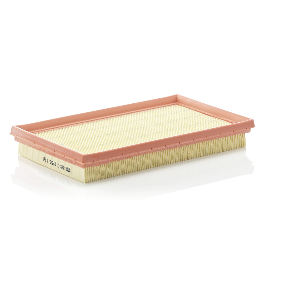 Filtro aria MANN C2759/1