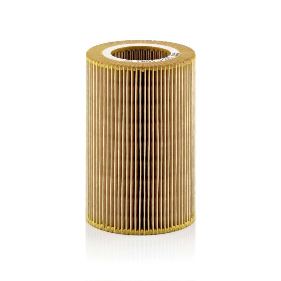 Filtro aria MANN C1041