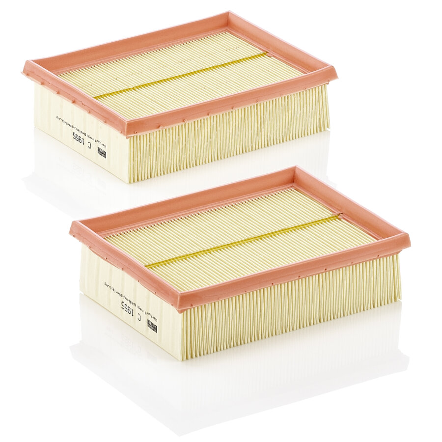 Filtro aria MANN C1955-2