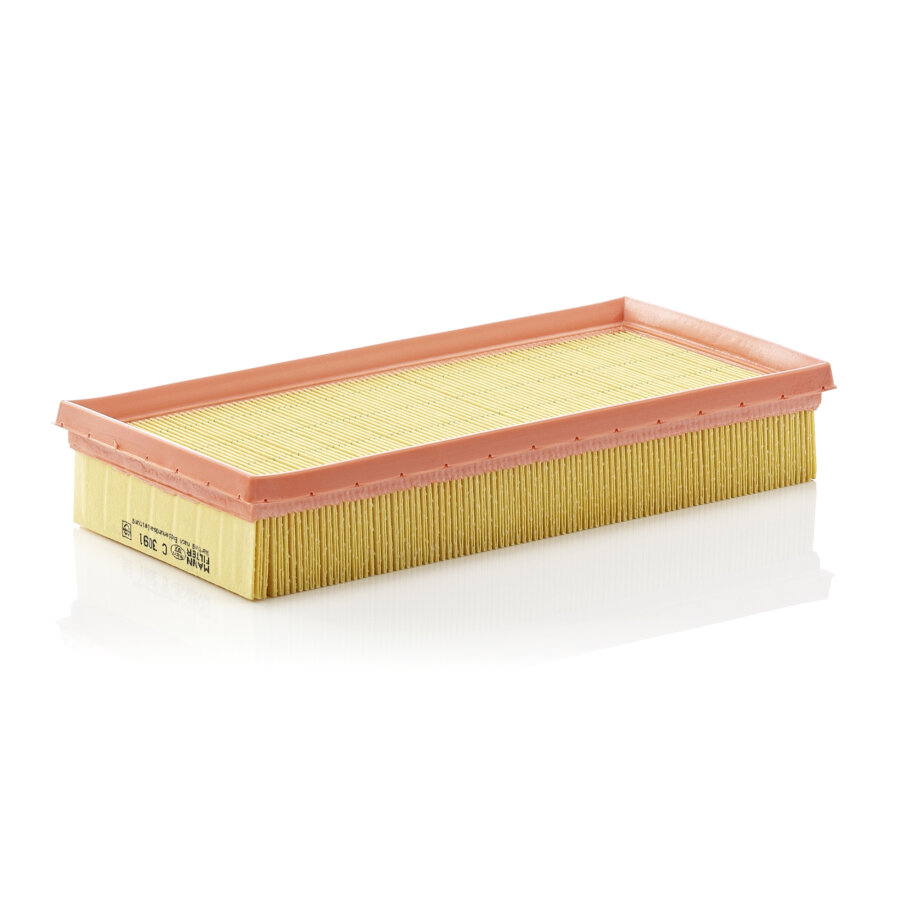 Filtro aria MANN C3091