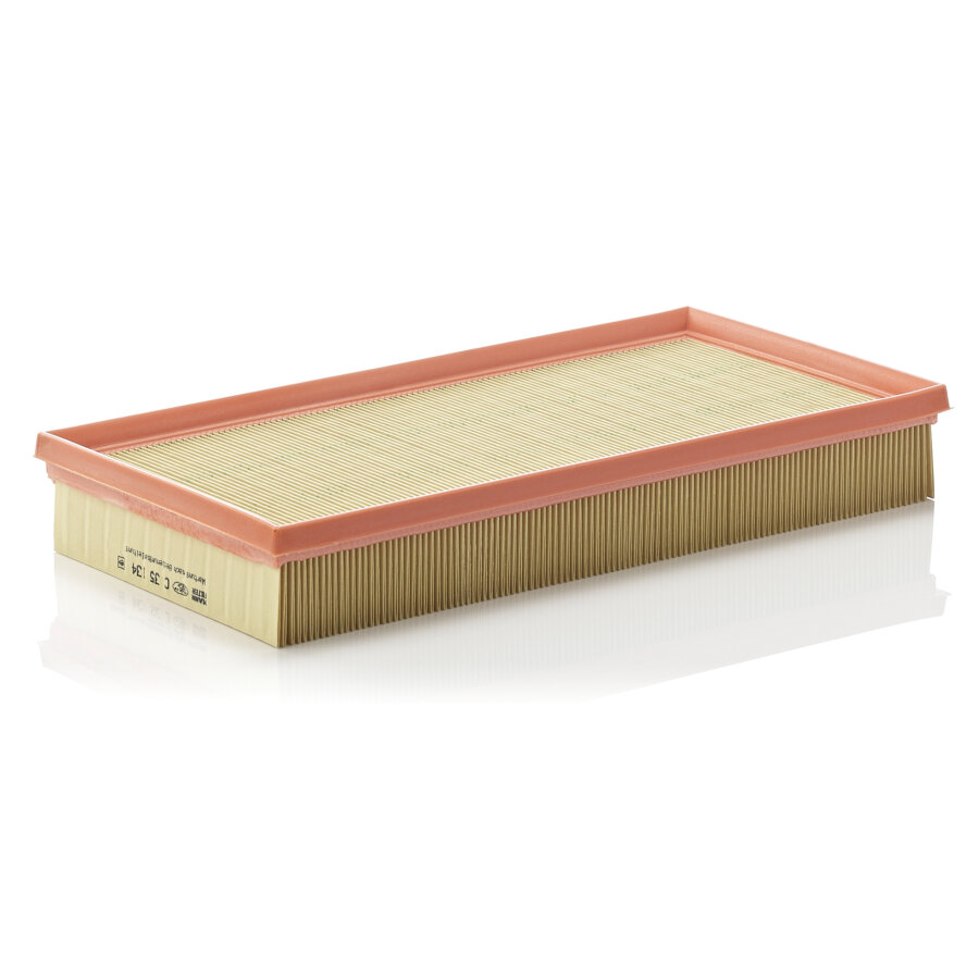 Filtro aria MANN C35134