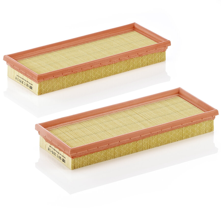 Filtro aria MANN C3170/1-2