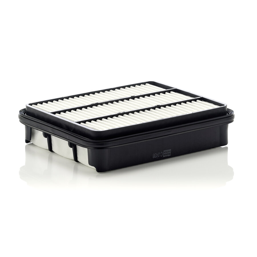 Filtro aria MANN C2438
