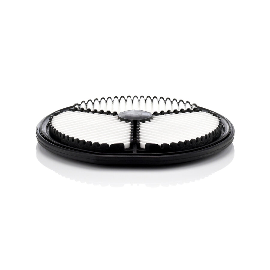Filtro aria MANN C2212