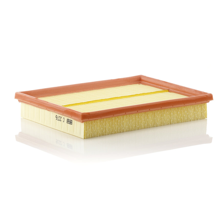 Filtro aria MANN C2376