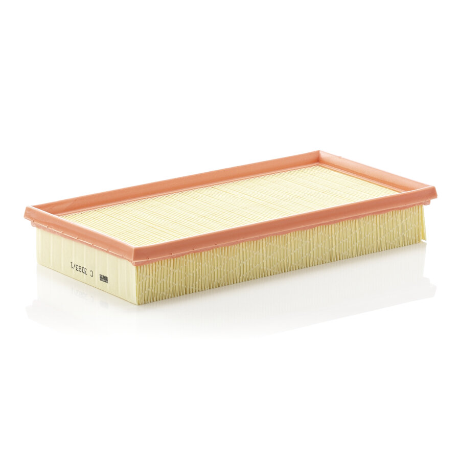 Filtro aria MANN C3093/1