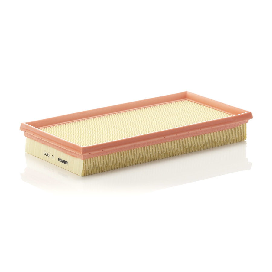 Filtro aria MANN C3083