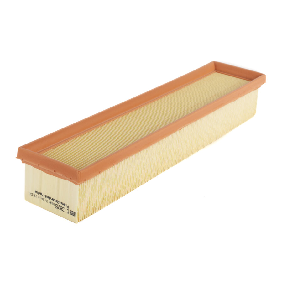 Filtro aria MANN C3875