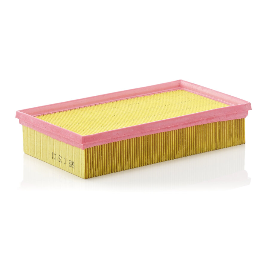 Filtro aria MANN C29121
