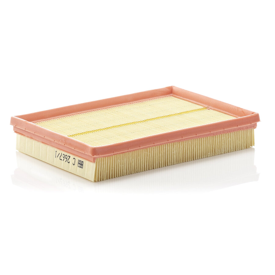 Filtro aria MANN C2667/1