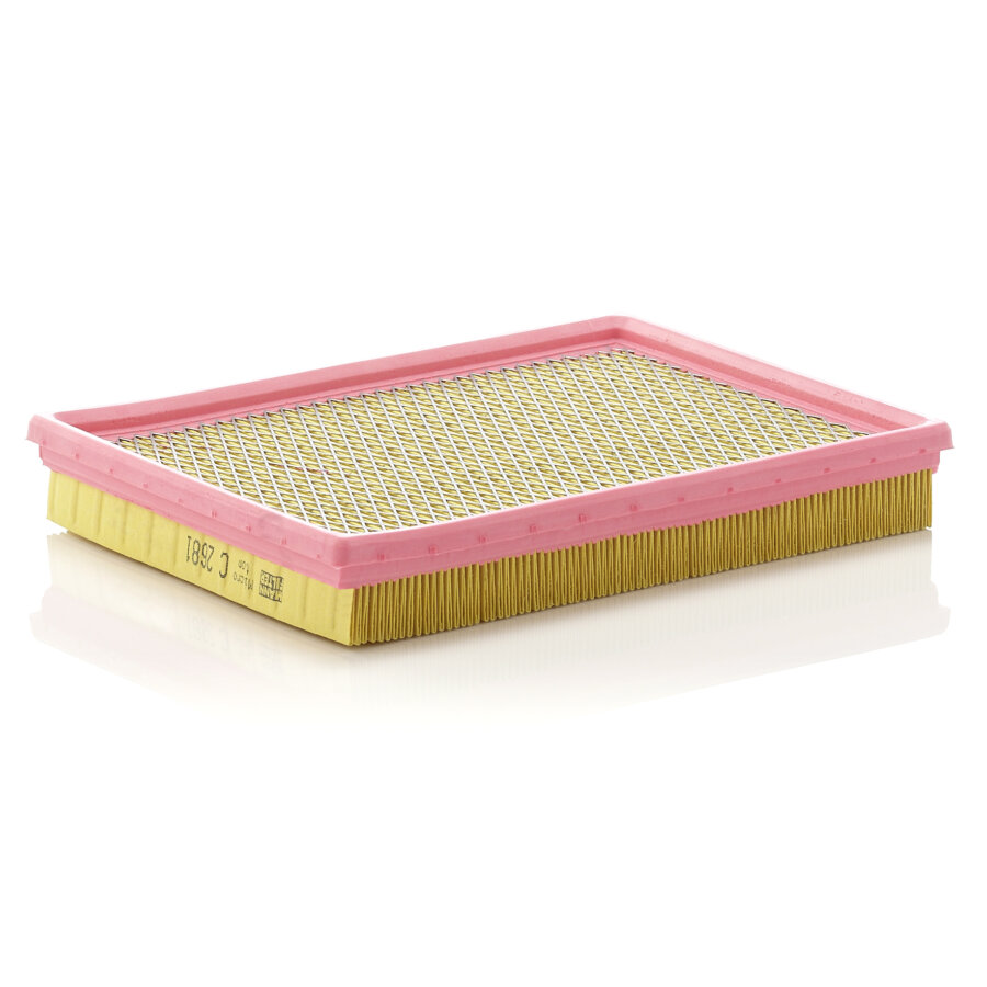 Filtro aria MANN C2681