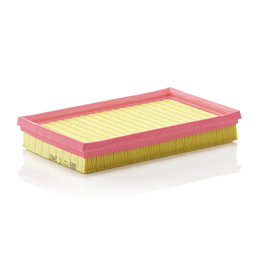 Filtro aria MANN C2463