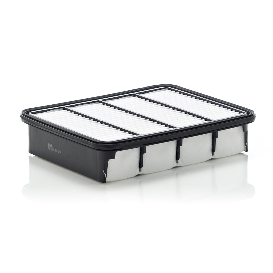 Filtro aria MANN C25128