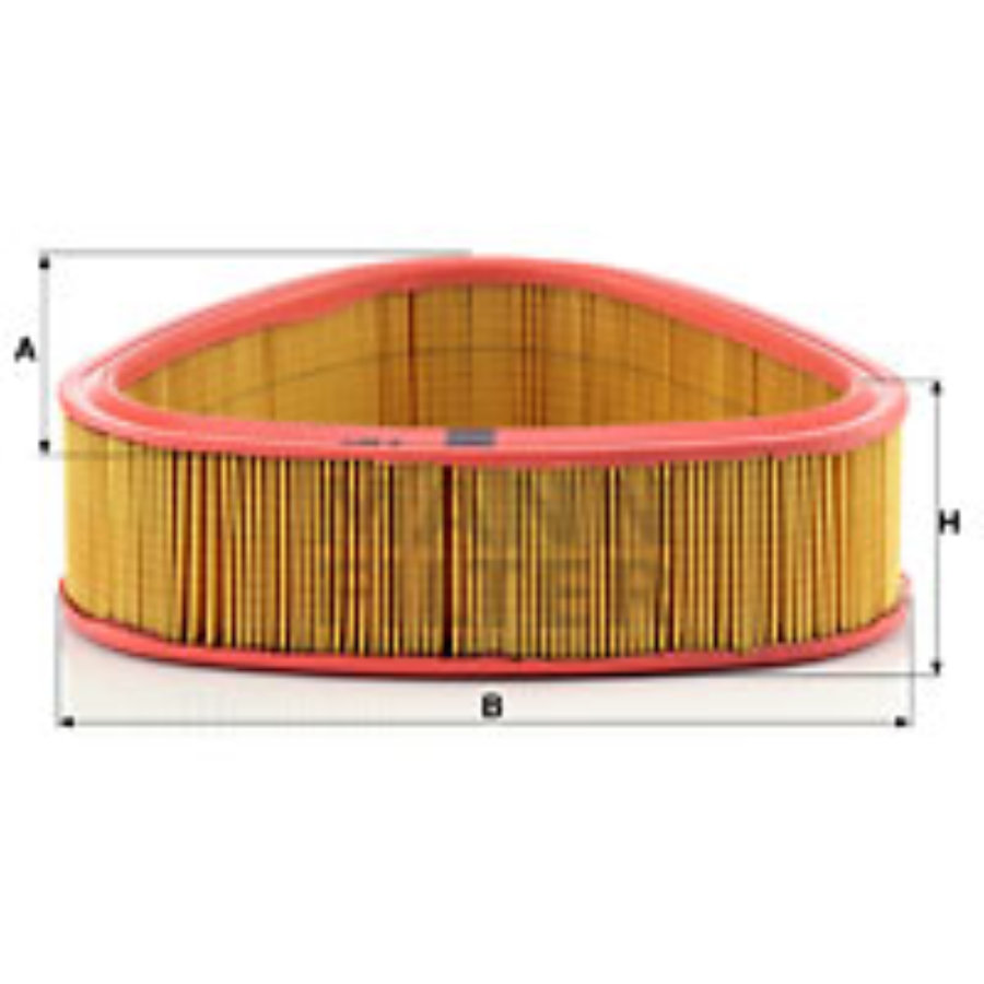 Filtro aria MANN C2541