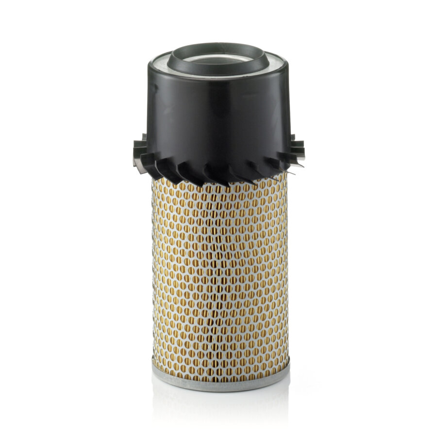 Filtro aria MANN C15250