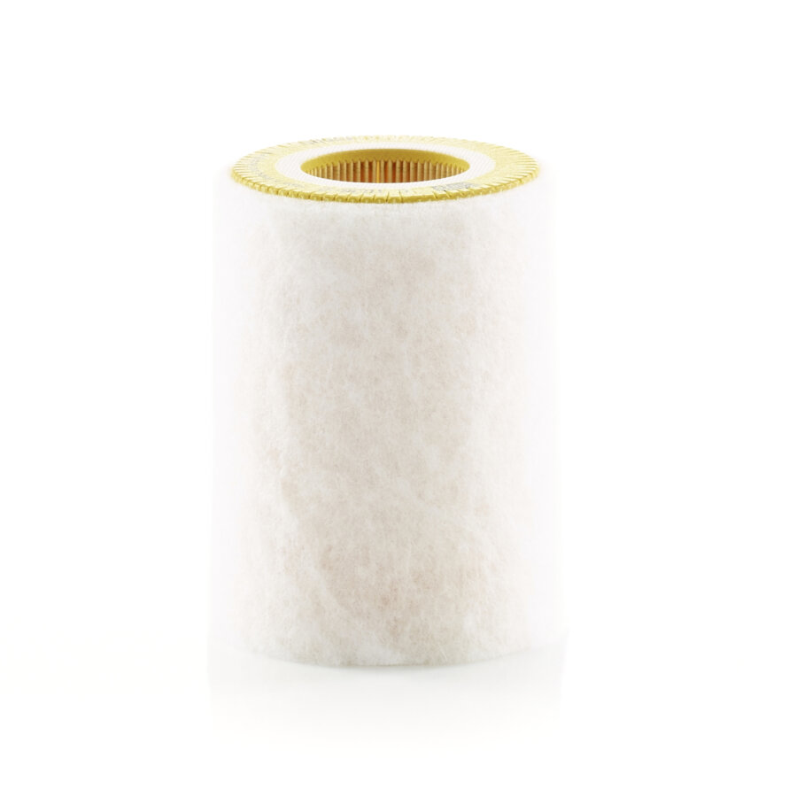 Filtro aria MANN C1036/2