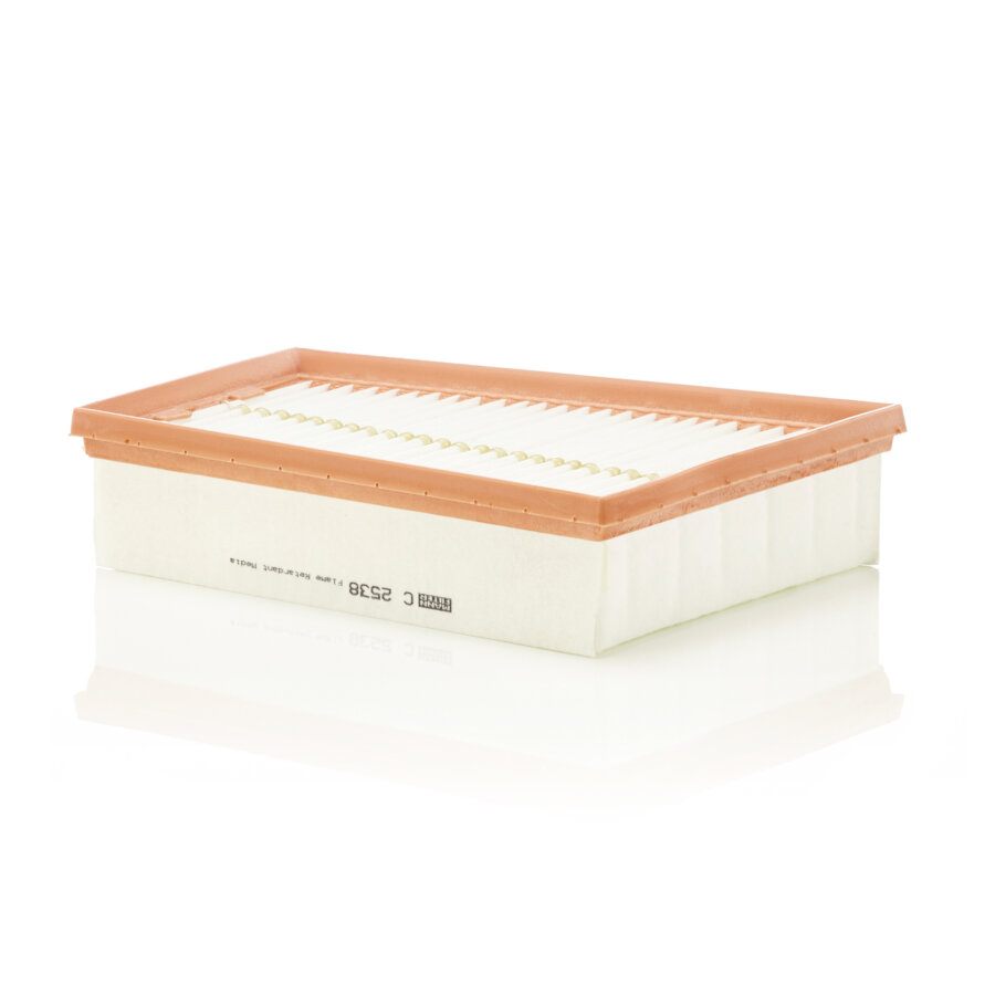 Filtro aria MANN C2538
