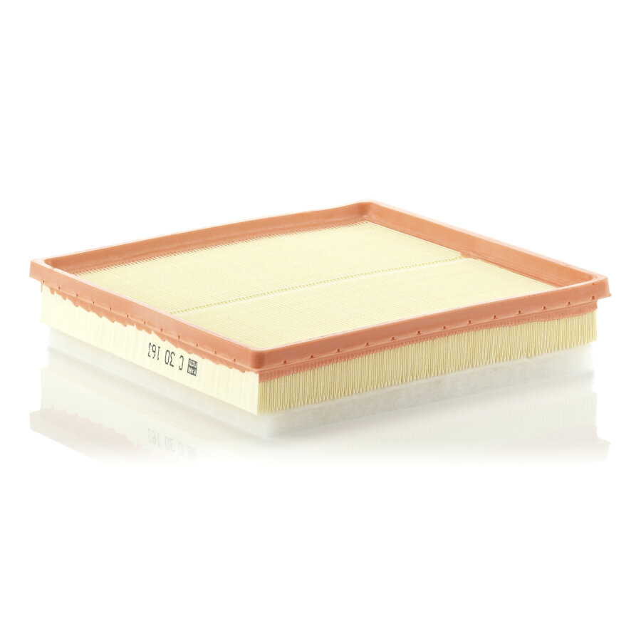 Filtro aria MANN C30163