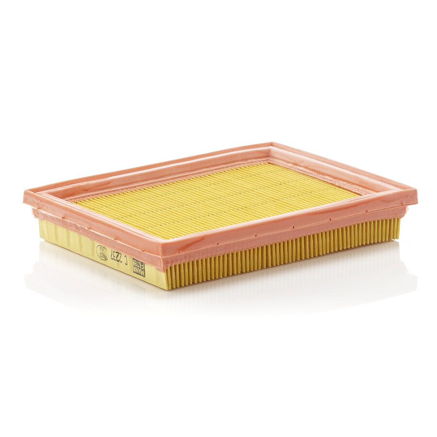 Filtro aria MANN C2237