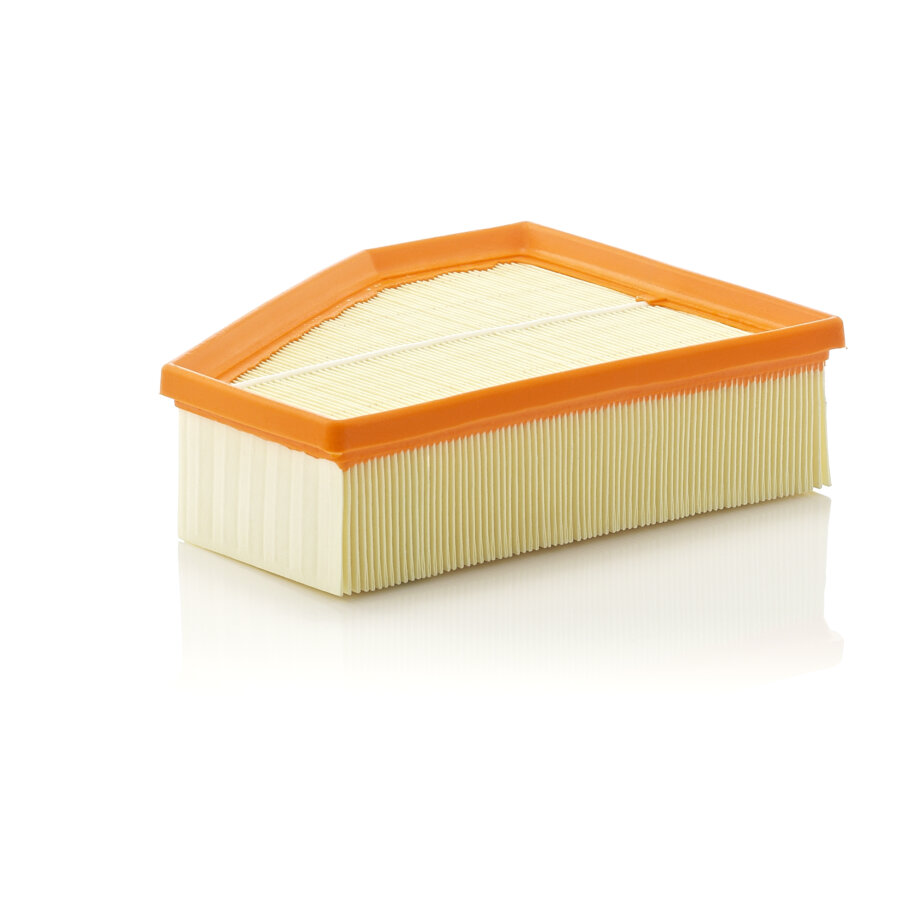Filtro aria MANN C23109