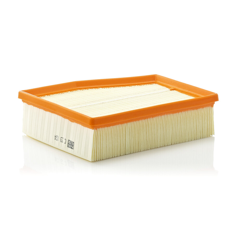 Filtro aria MANN C23124