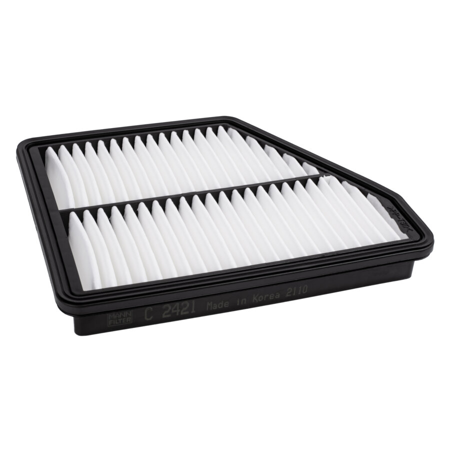 Filtro aria MANN C2421