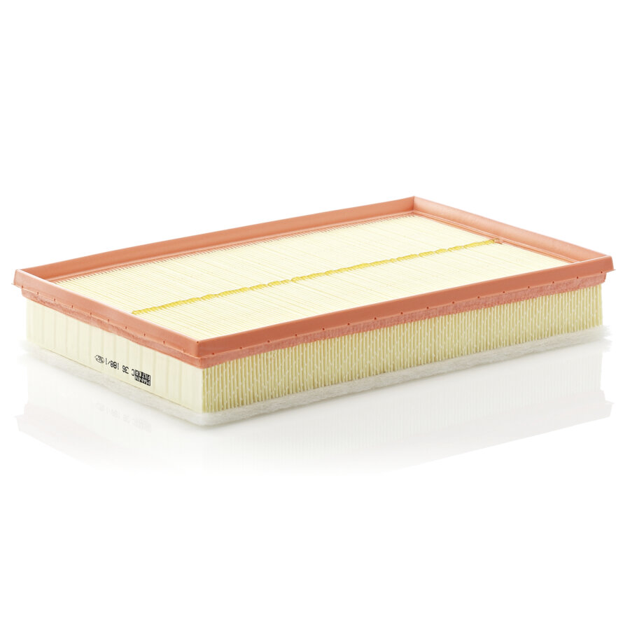 Filtro aria MANN C36188/1