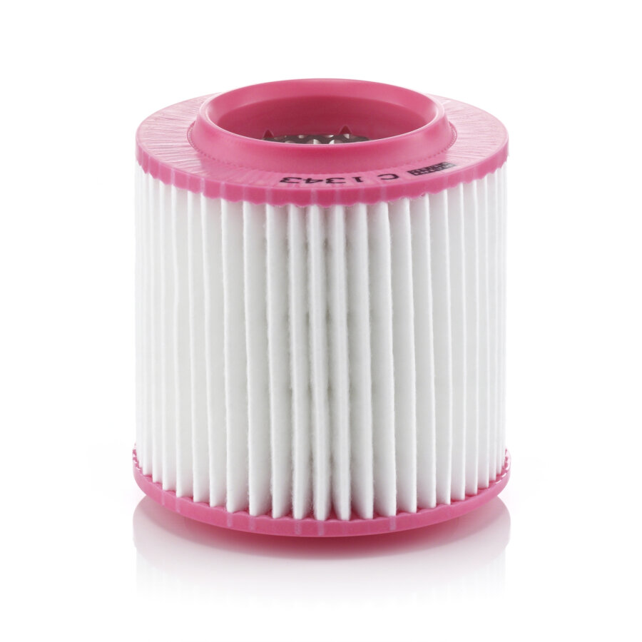 Filtro aria MANN C1343