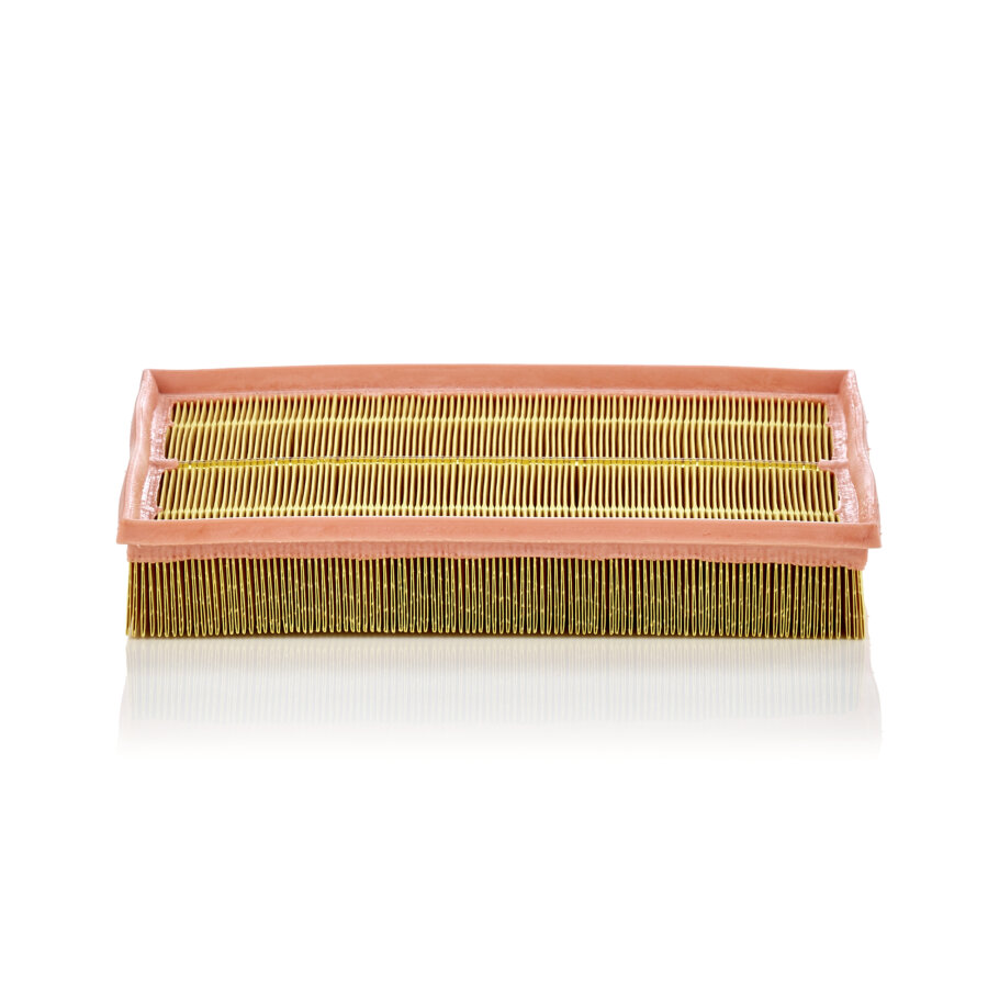 Filtro aria MANN C33189