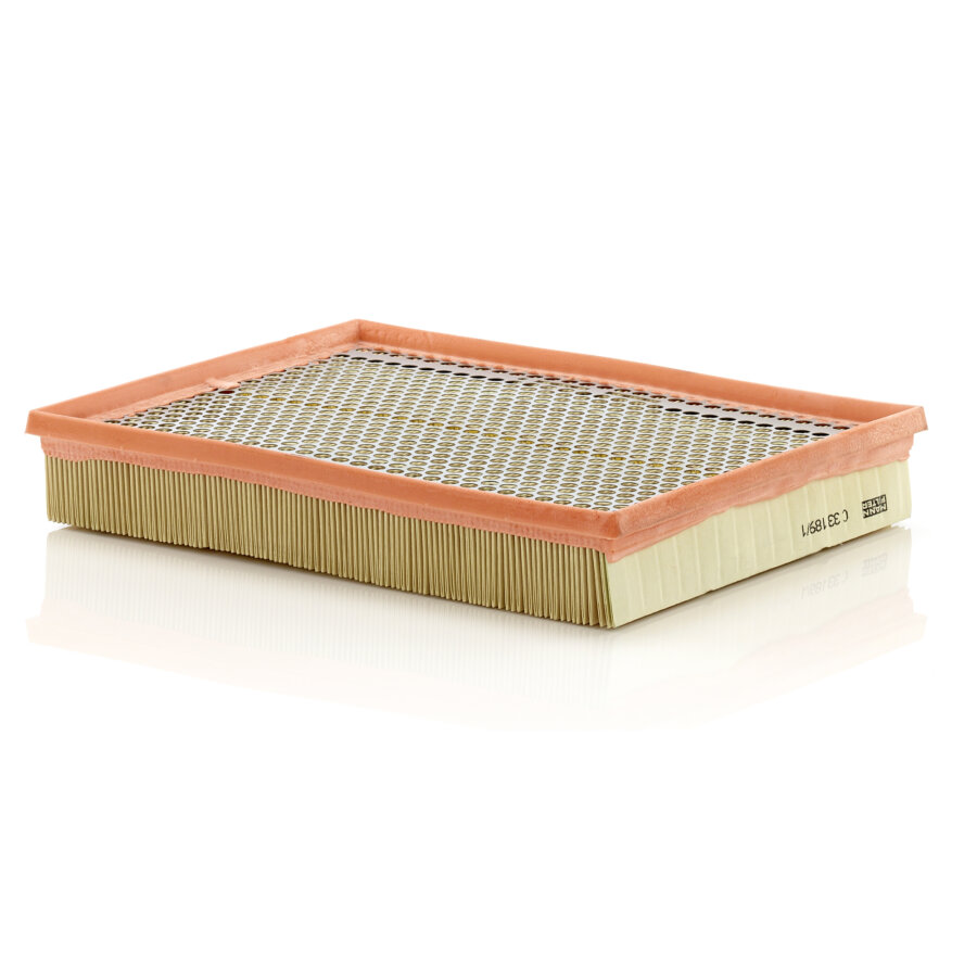 Filtro aria MANN C33189/1