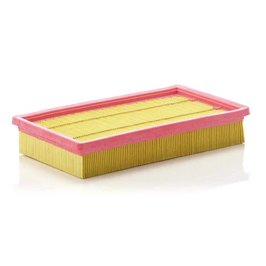 Filtro aria MANN C2892