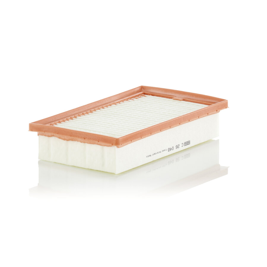 Filtro aria MANN C26048