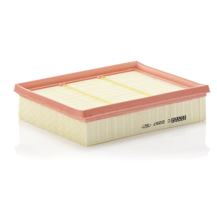 Filtro aria MANN C2287