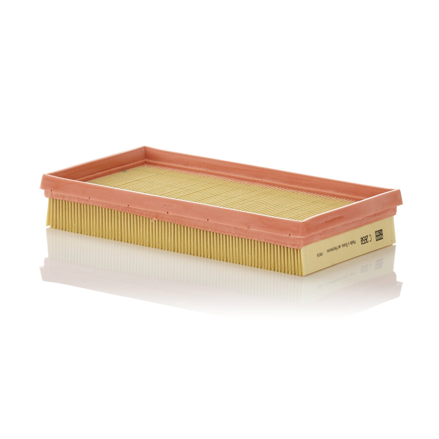 Filtro aria MANN C2658