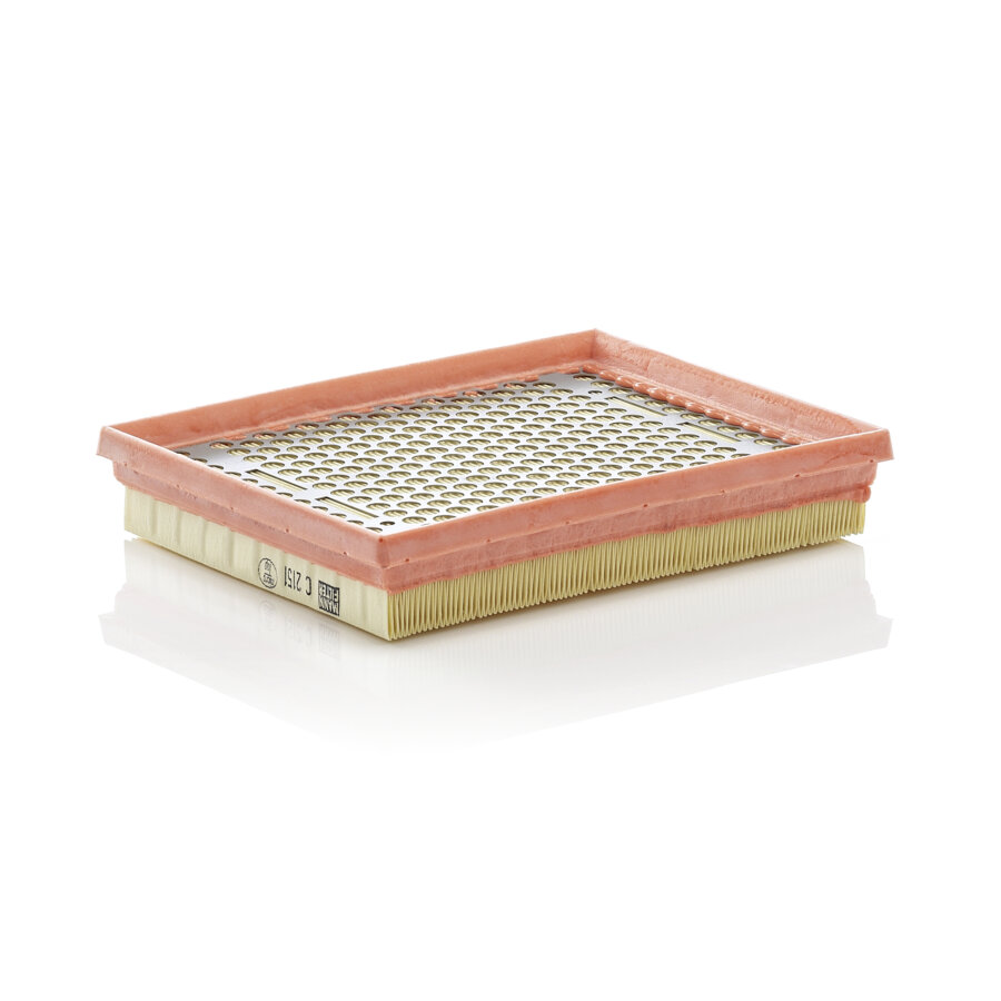 Filtro aria MANN C2151