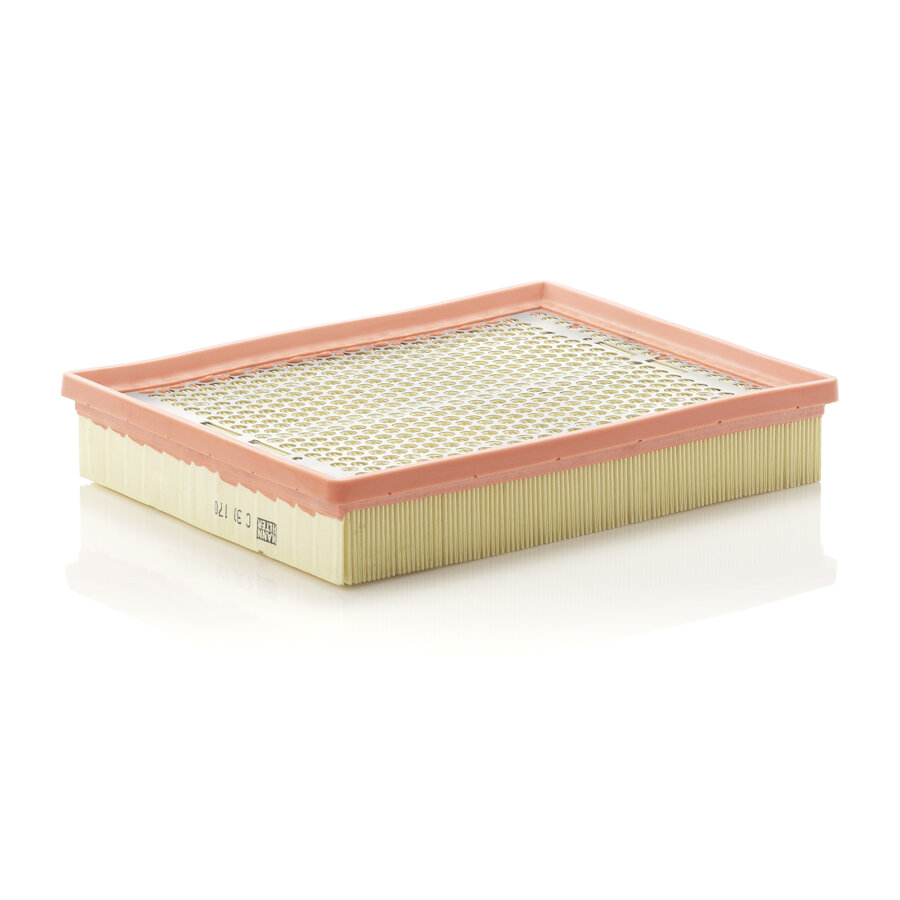 Filtro aria MANN C30170