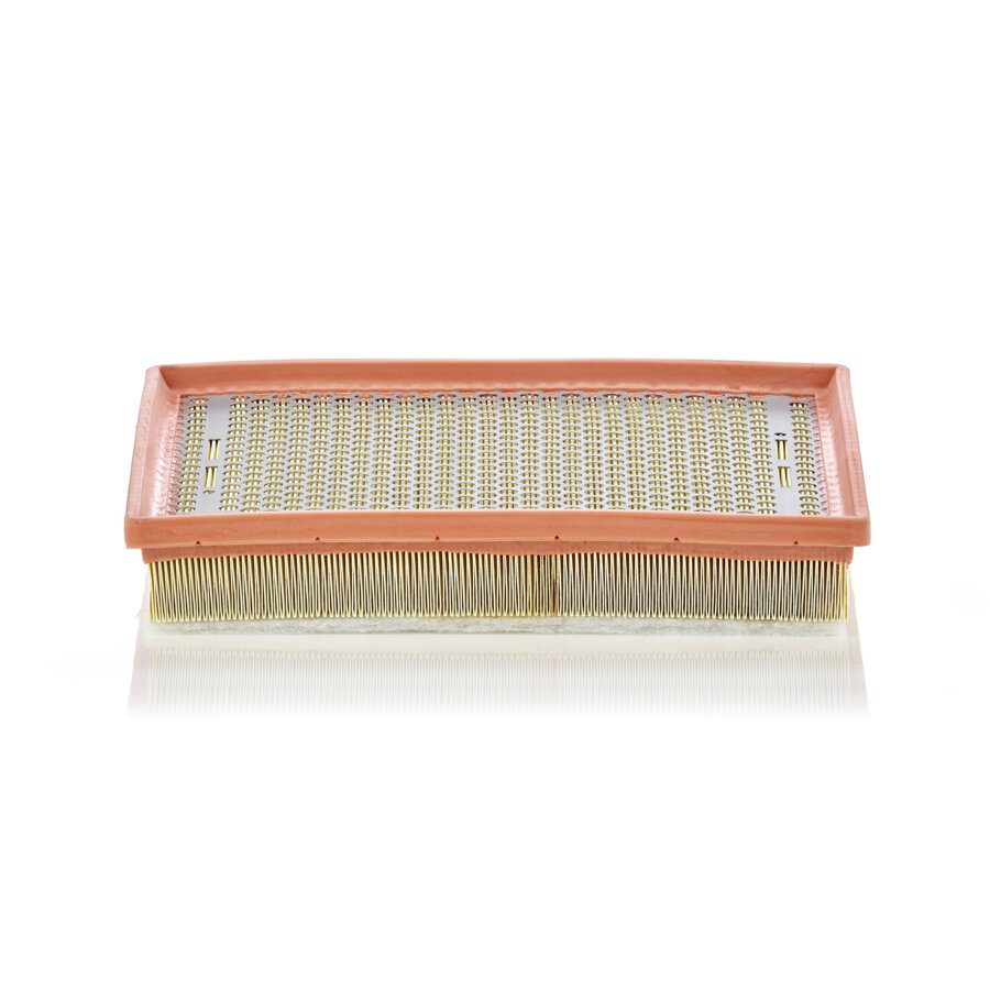 Filtro aria MANN C30170/1