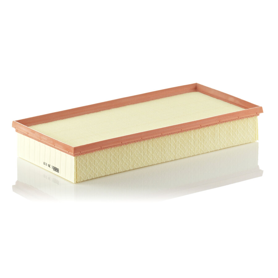Filtro aria MANN C39219