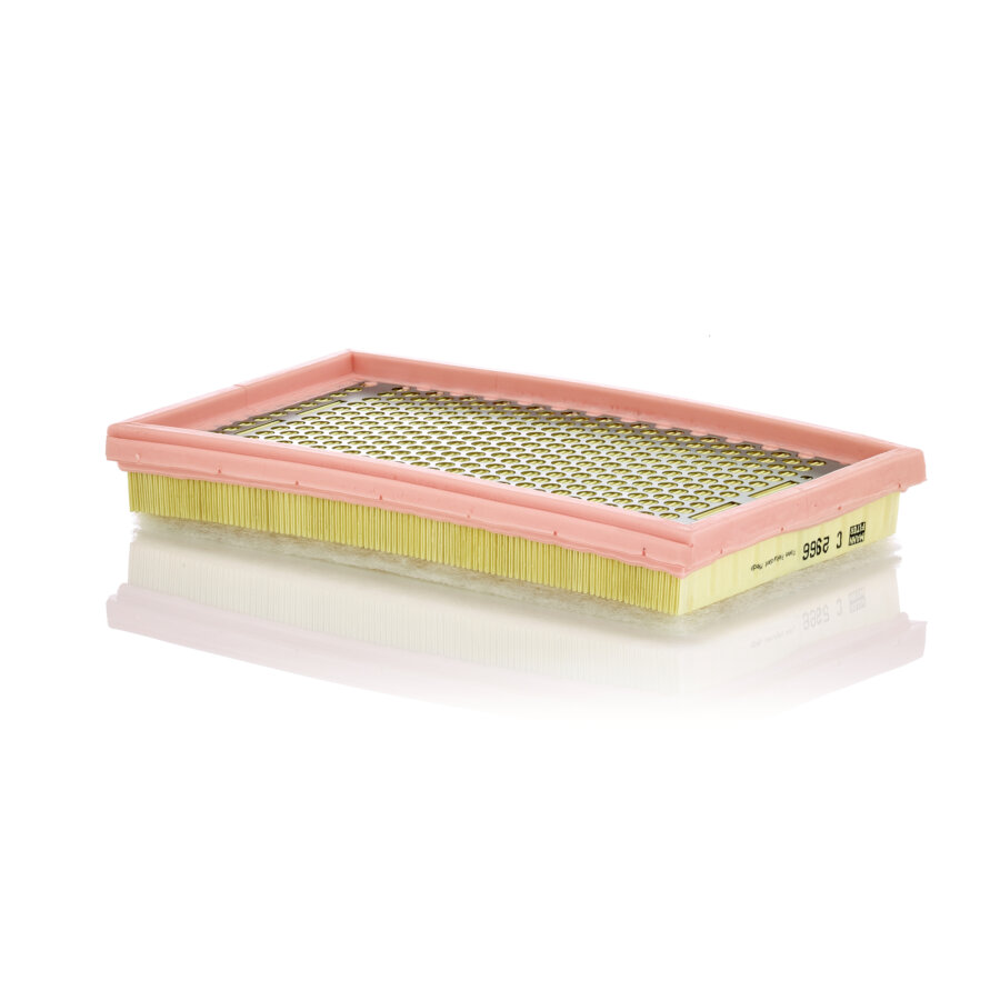 Filtro aria MANN C2966