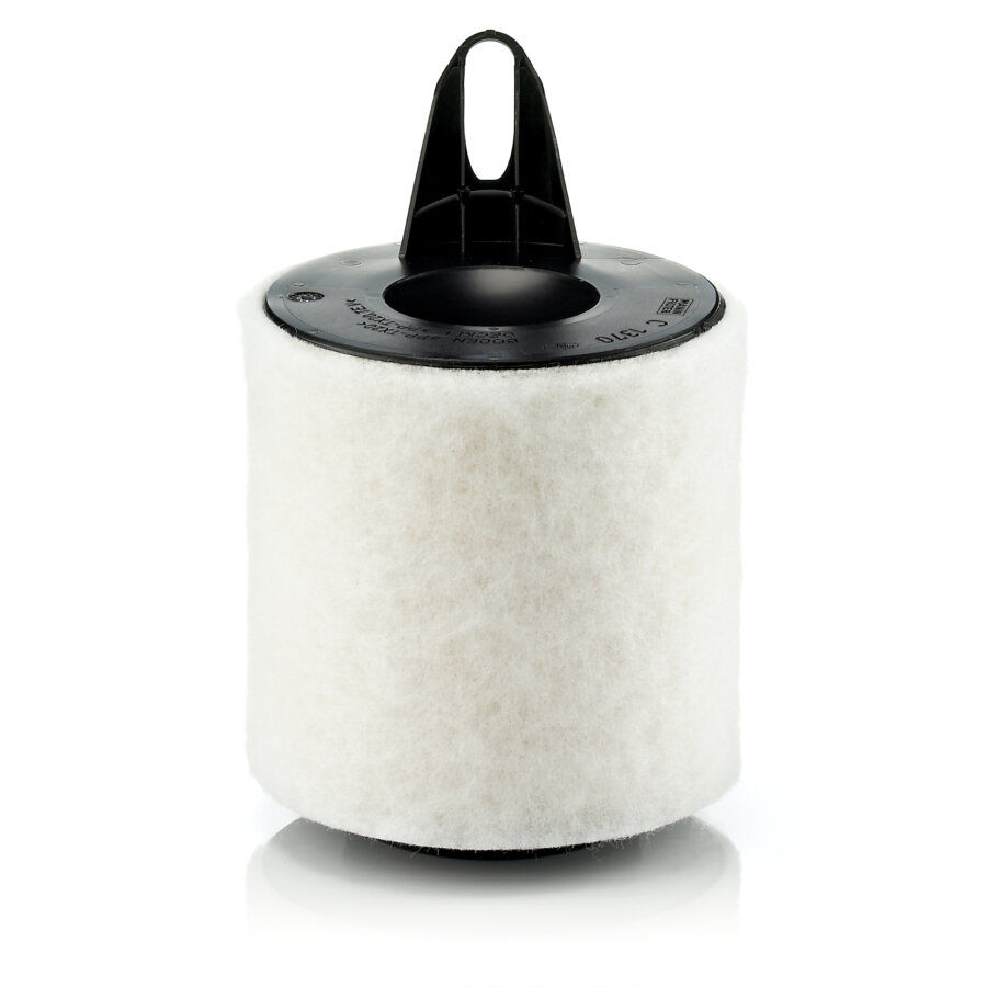 Filtro aria MANN C1370