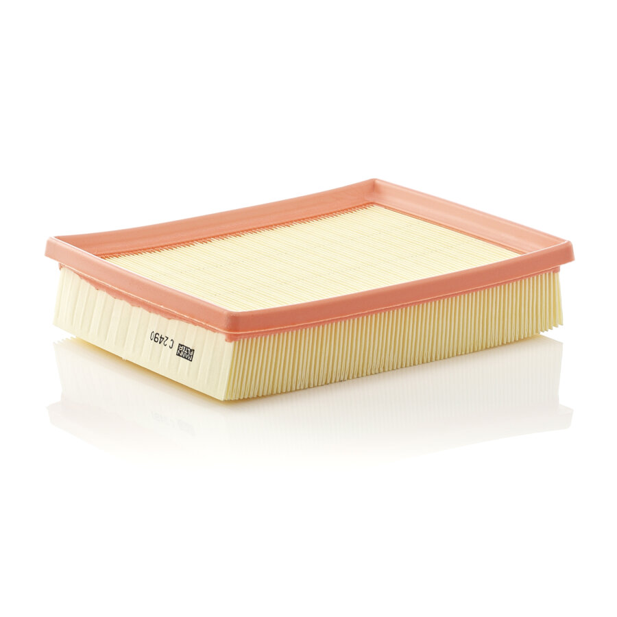 Filtro aria MANN C2490