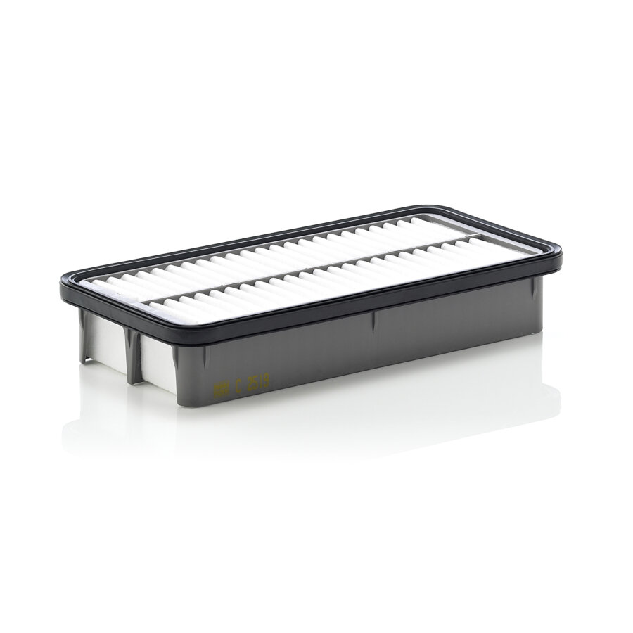 Filtro aria MANN C2519