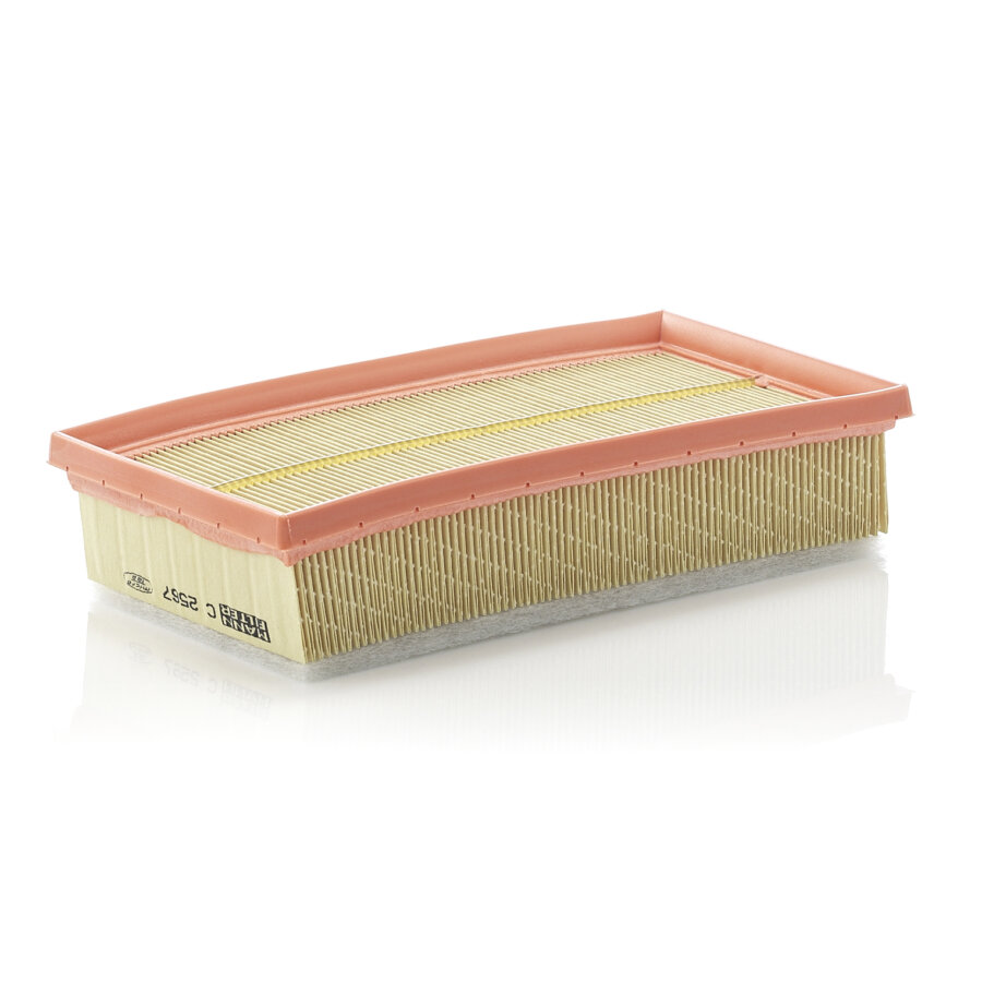 Filtro aria MANN C2567