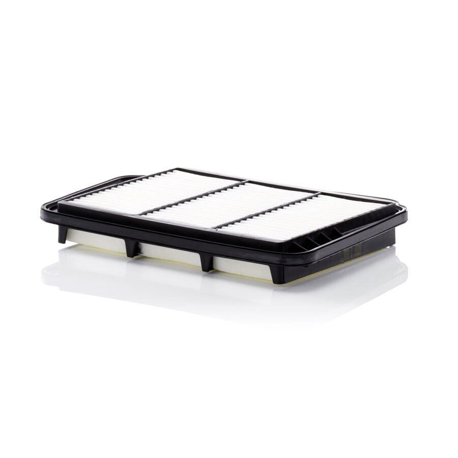 Filtro aria MANN C3028
